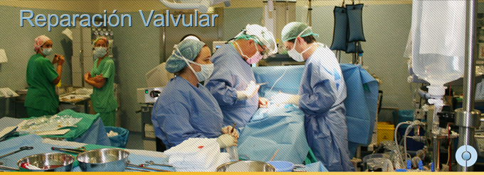 unidad valvula aortica instituto cardiotecnologico malaga cardiologia ESP